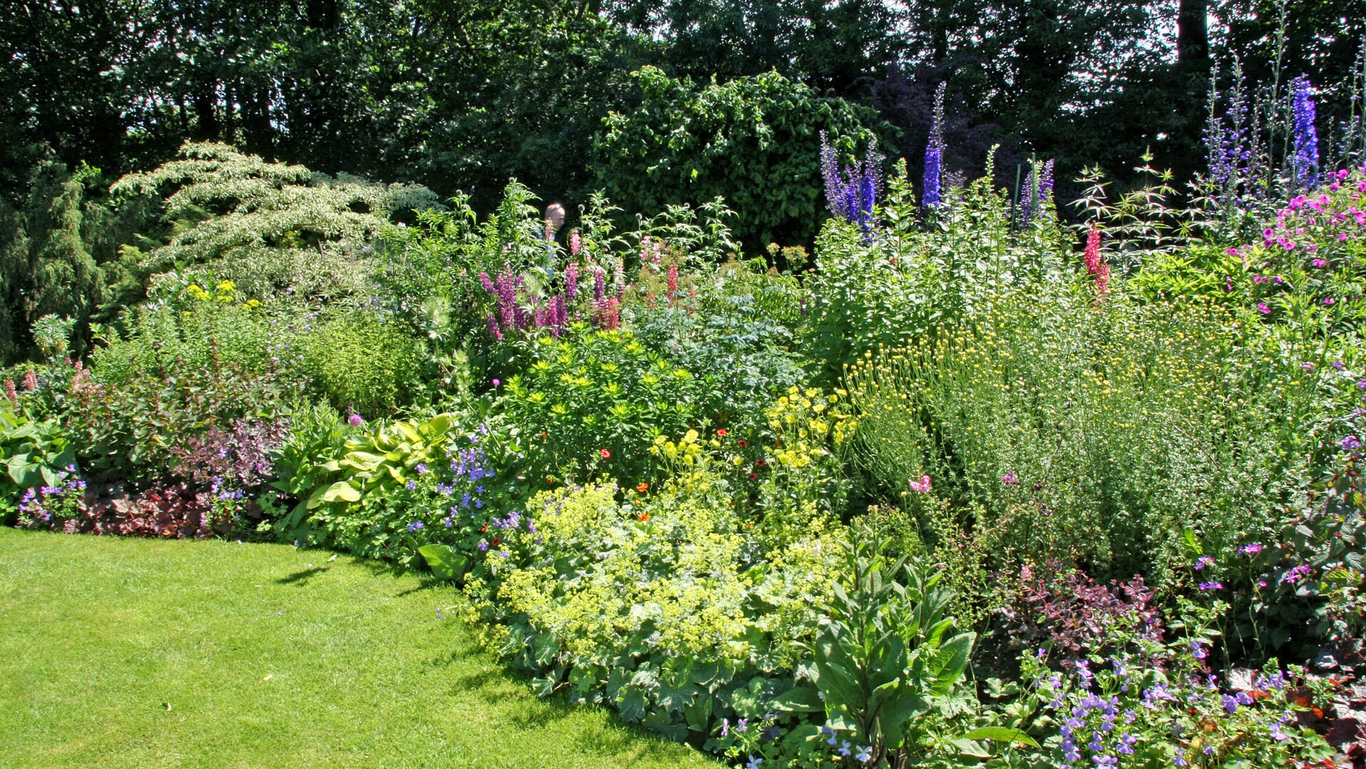 Weelderige border vol kleurrijke vaste planten en bloemen langs een groen gazon